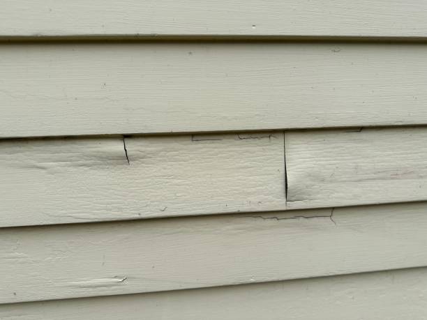 Same-Day Junk Removal Services in Pocomoke City, MD